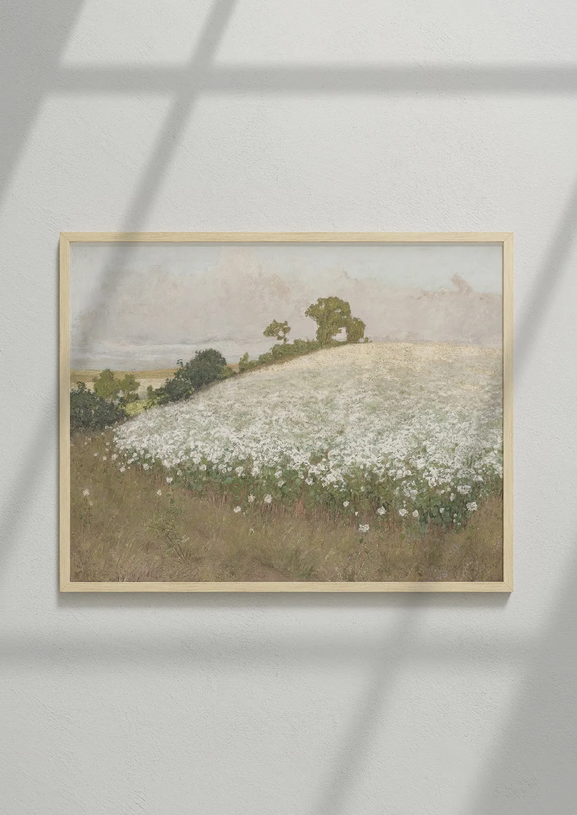 Field of White Flowers Print