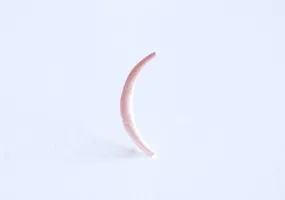 Matte Pink Wholesale Rose Gold Vermeil Crescent Moon Charm- 18k rose gold Sterling Silver thin skinny Moon Charm pendant, tusk, Half moon charm, 285