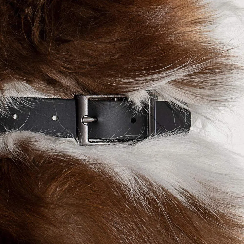 Wild One Dog Collar Small