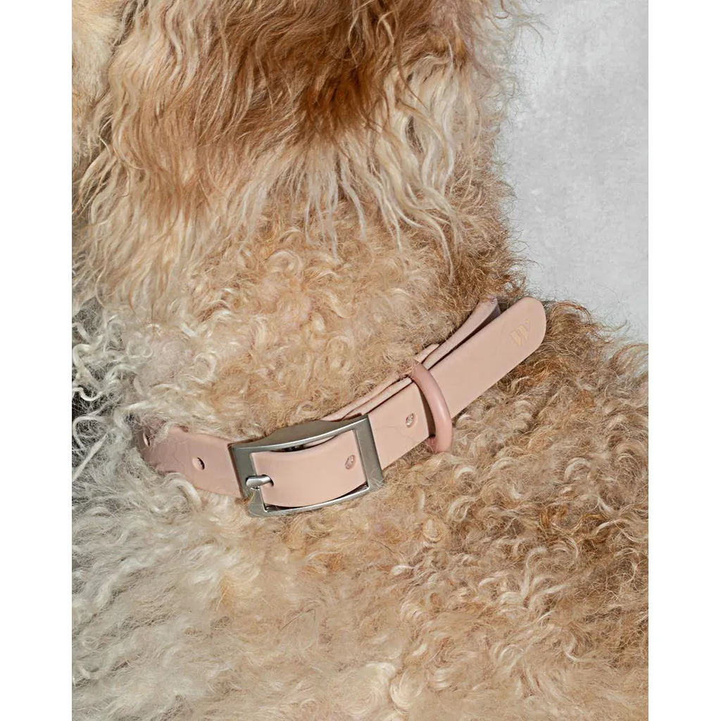 Wild One Dog Collar Small